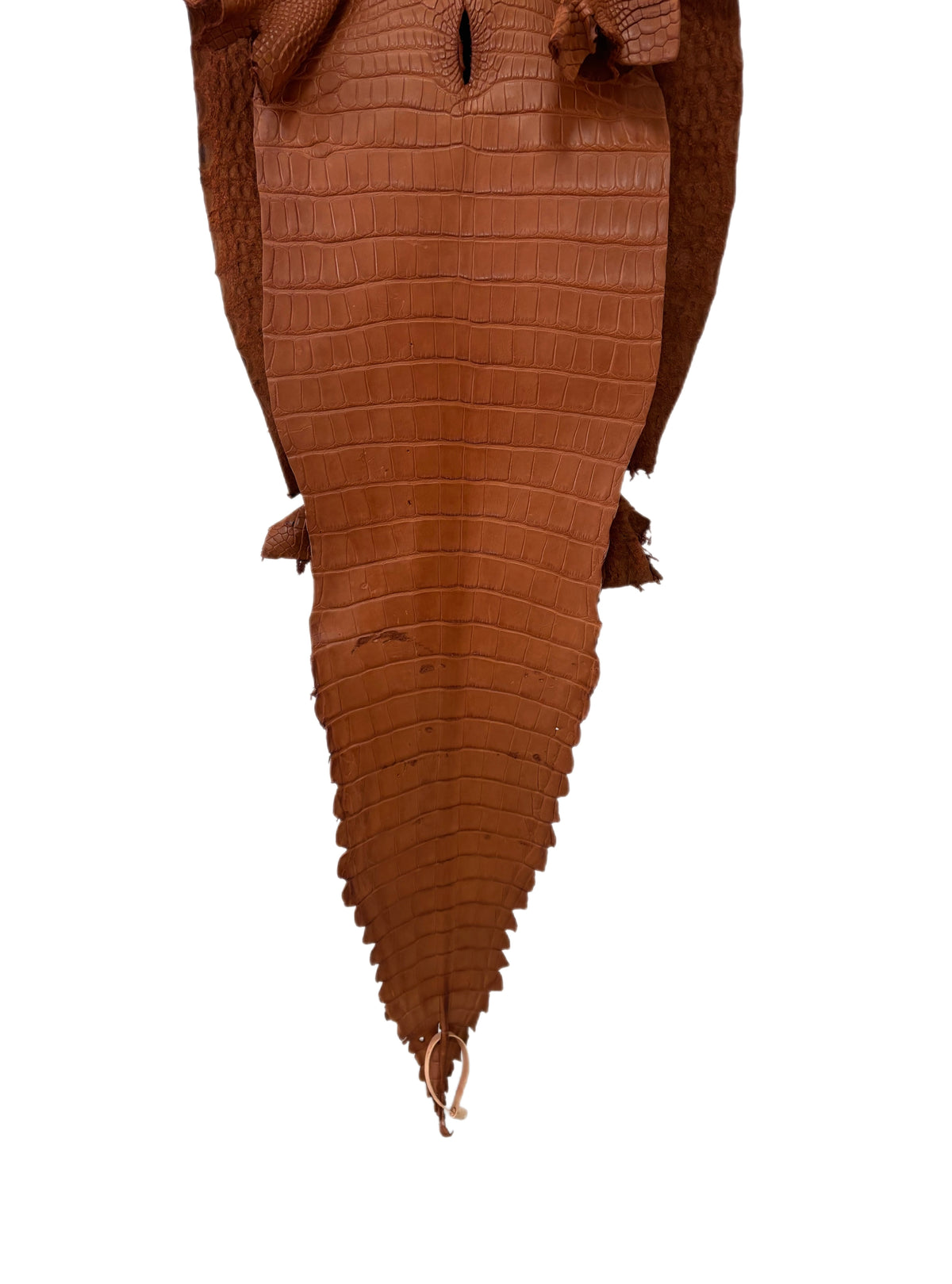 37 cm Grade 2/3 Cognac Matte Farm-Raised American Alligator Leather - Tag: FL17-0052837