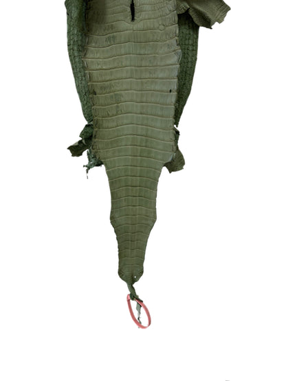 New Color! 25 cm Grade 1/2 Sage Green Matte Farm-Raised American Alligator Leather - Tag: LA24-0228885