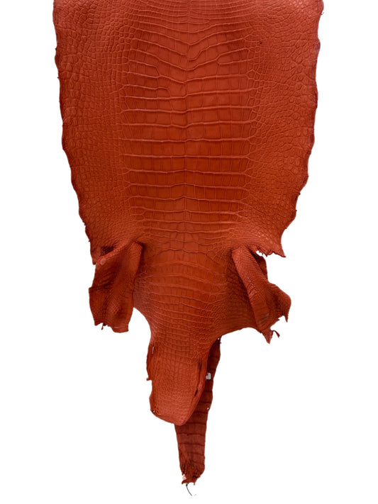 44 cm Grade 2/3 Pumpkin Matte Wild American Alligator Leather - Tag: LA18-0038557