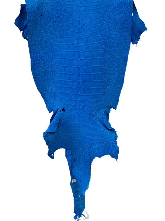 38 cm Grade 3/4 Ultramarine Matte Wild American Alligator Leather - Tag: LA23-0017300