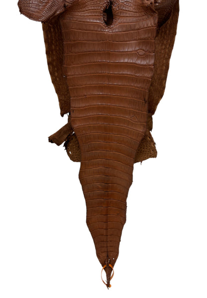 35 cm Grade 2/3 Cigar Matte Farm-Raised American Alligator Leather - Tag: FL17-0035041