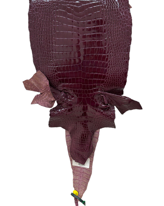 33 cm Grade 2/3 Regal Glazed Wild American Alligator Leather - Tag: LA96-0009394