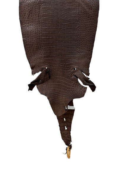 29 cm Grade 1/2 Chocolate Matte Wild American Alligator Leather - Tag: LA23-0030306