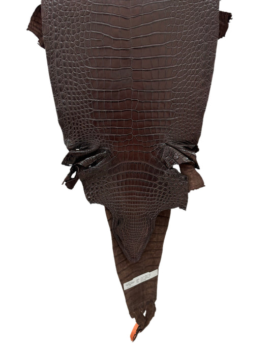 30 cm Grade 2/3 Chocolate Matte Farm Raised American Alligator Leather - Tag: FL21-0024250