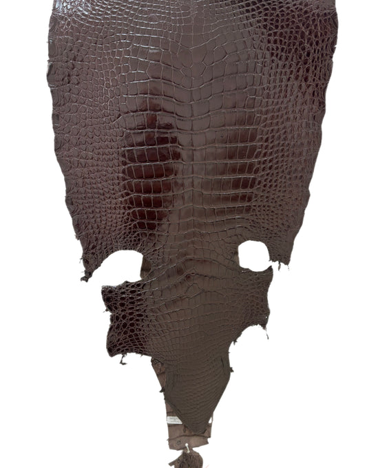 47 cm Grade 3/4 Chocolate Millennium Wild American Alligator Leather - Tag: LA22-0021649