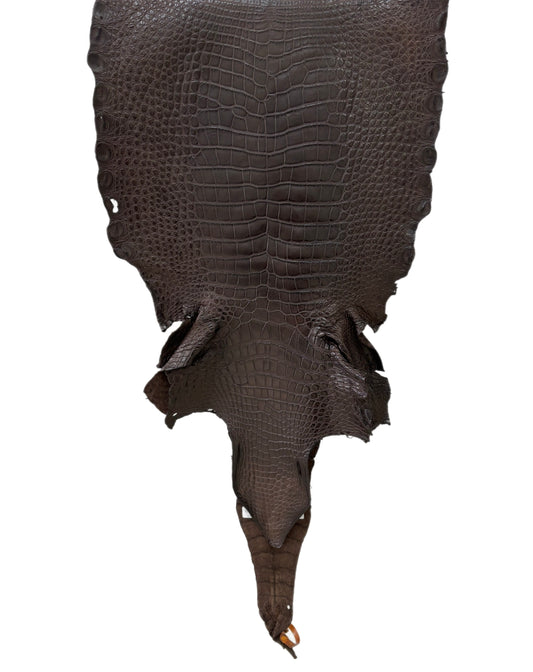 42 cm Grade 3/4 Dark Chocolate Matte Wild American Alligator Leather - Tag: LA23-0000212