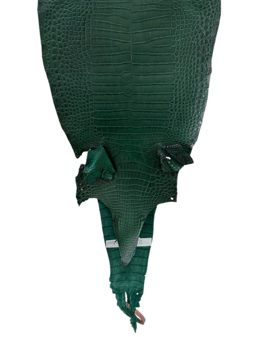 27 cm Grade 3/4 Forest Green Matte Farm Raised American Alligator Leather - Tag: FL21-0024596