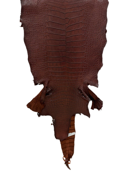 38 cm Grade 3/4 Italian Gold Matte American Alligator Leather - Tag: LA23-0017166
