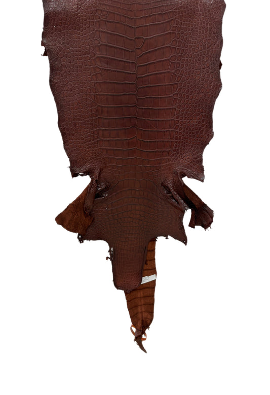 38 cm Grade 3/4 Italian Gold Matte American Alligator Leather - Tag: LA23-0017166