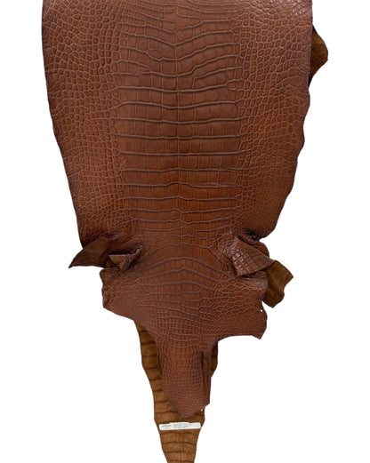 45 cm Grade 3/4 Cigar Matte Wild American Alligator Leather - Tag: LA19-0038488