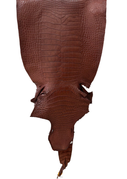 44 cm Grade 3/4 Italian Gold Matte Wild American Alligator Leather - Tag: LA25-0008565
