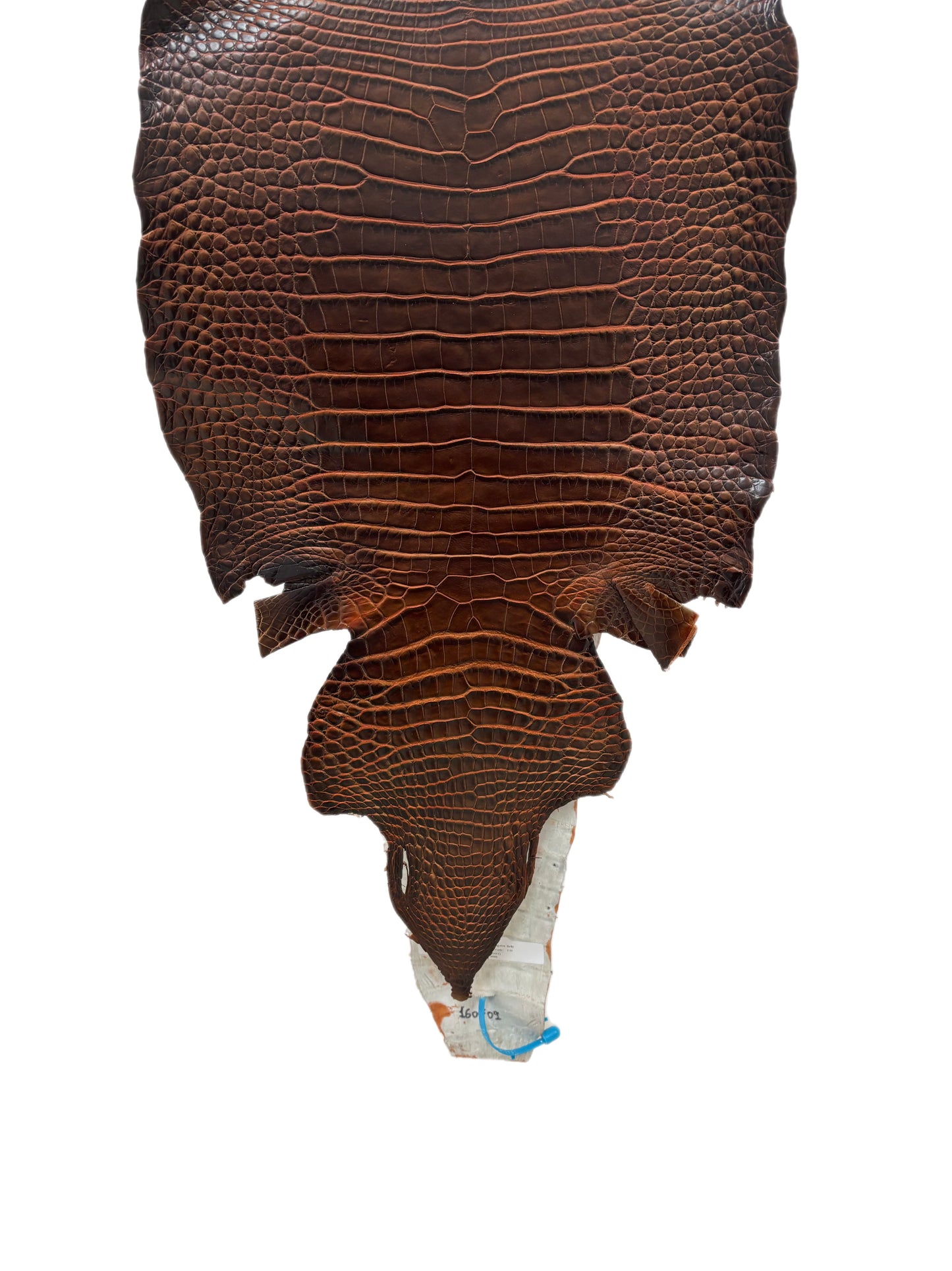 38 cm Grade 1/2 Sienna Matte Wild American Alligator Leather - Tag: ESRE-0050836
