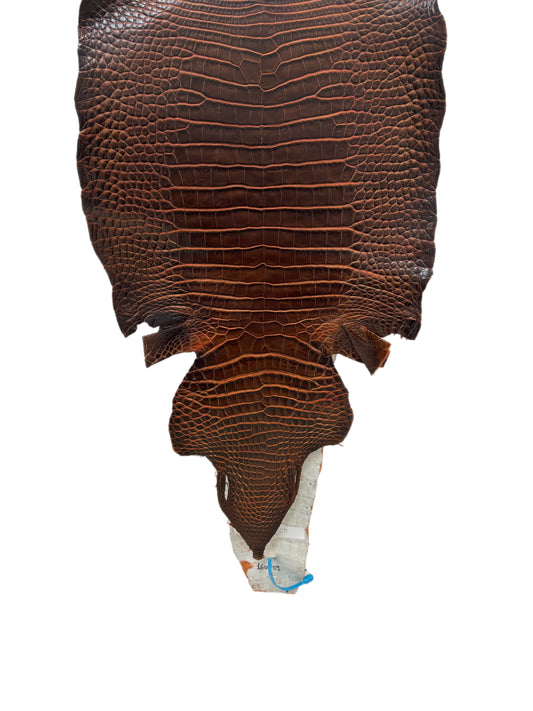 38 cm Grade 1/2 Sienna Matte Wild American Alligator Leather - Tag: ESRE-0050836