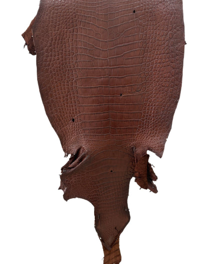 39 cm Grade 4/5 Italian Gold Matte Wild American Alligator Leather - Tag: LA23-0022789