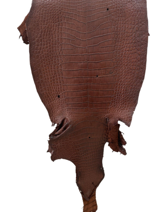39 cm Grade 4/5 Italian Gold Matte Wild American Alligator Leather - Tag: LA23-0022789