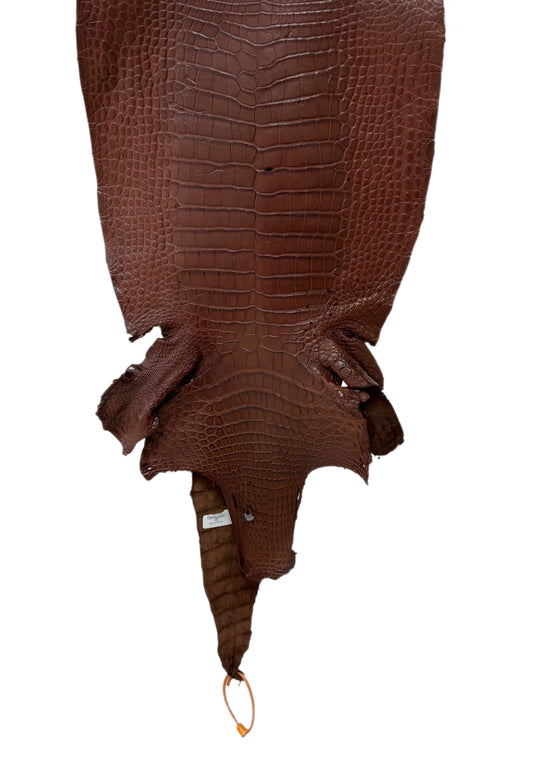 35 cm Grade 4/5 Chesnut Matte Wild American Alligator Leather - Tag: LA23-0050873