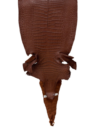 31 cm Grade 1/2 Rodeo Matte Farm-Raised American Alligator Leather - Tag: FL17-0036690