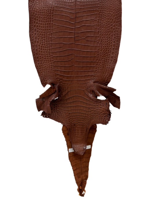 31 cm Grade 1/2 Rodeo Matte Farm-Raised American Alligator Leather - Tag: FL17-0036690