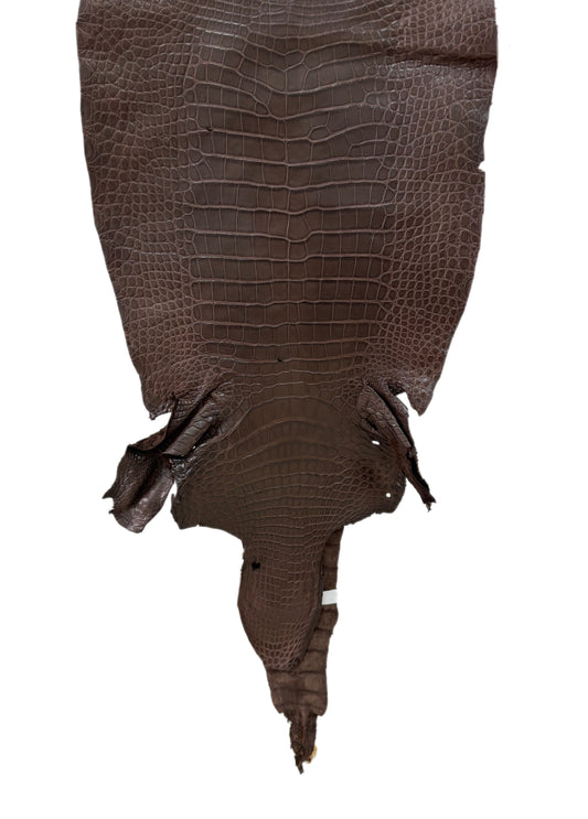 35 cm Grade 2/3 Chocolate Matte Wild American Alligator Leather - Tag: LA23-0006899