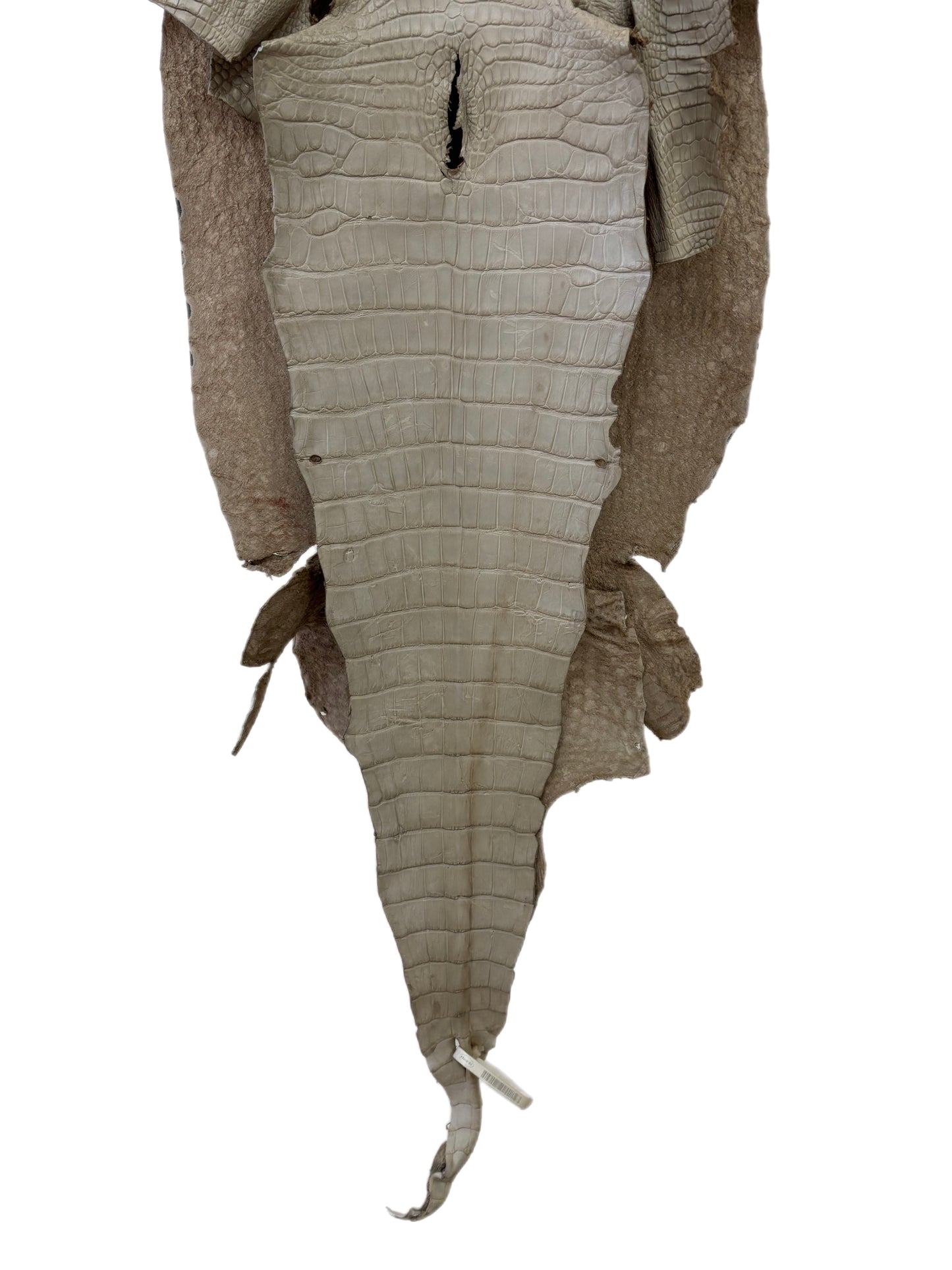 41 cm Grade 4/5 Stormy Matte Wild American Alligator Leather - Tag: LA23-0024528