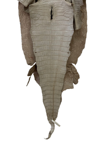 41 cm Grade 4/5 Stormy Matte Wild American Alligator Leather - Tag: LA23-0024528