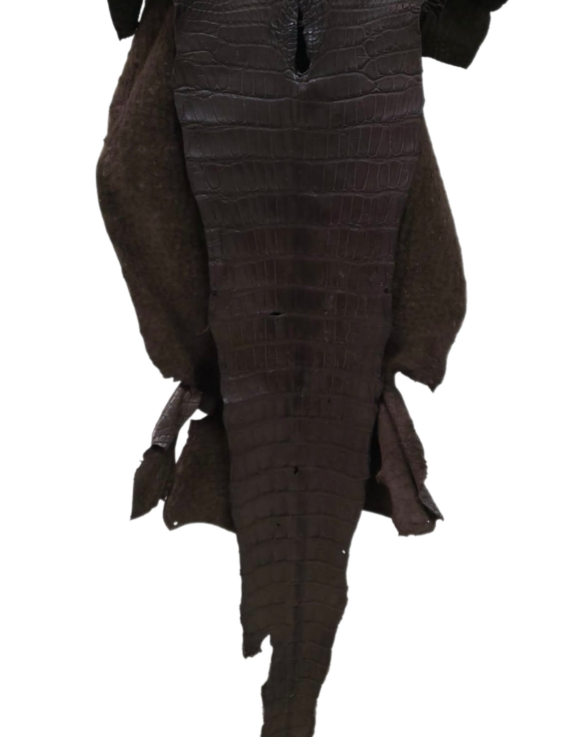 47 cm Grade 3/4 Kralle Brown Matte Wild American Alligator Leather - Tag: LA23-0050726