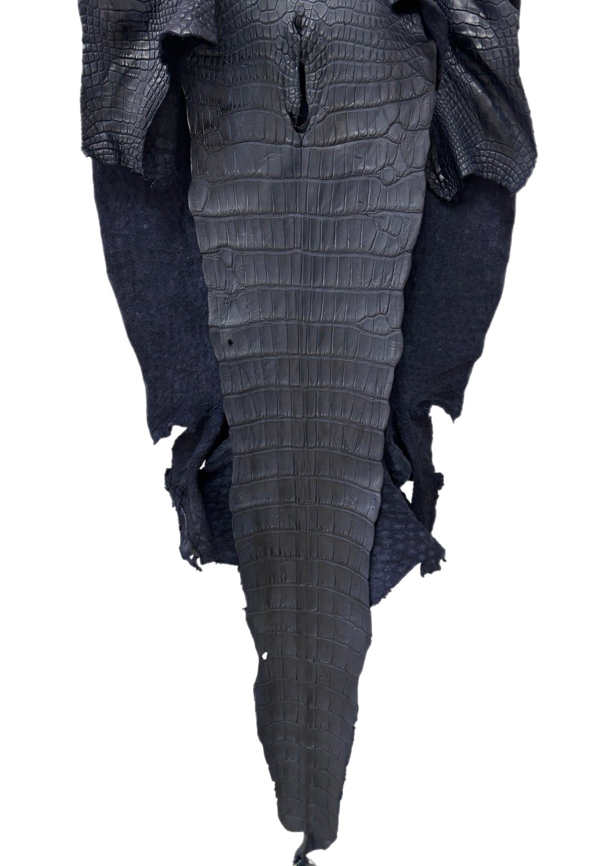 47 cm Grade 2/3 Navy Blue Matte Wild American Alligator Leather - Tag: LA25-0501459