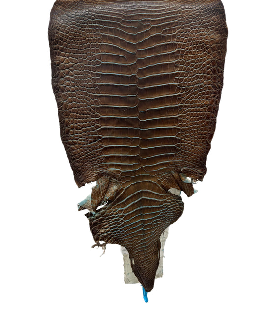 31 cm Grade 2/3 Pacifica Matte Wild American Alligator Leather - Tag: ESRE-0050923