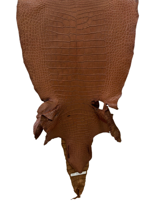 50 cm Grade 4/5 Cigar Matte Wild American Alligator Leather - Tag: LA22-0021742