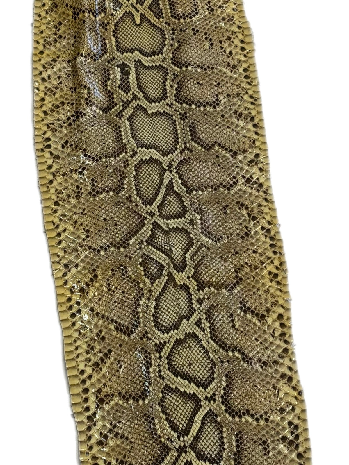 1.9 M Front Cut Glazed Python Leather With Markings