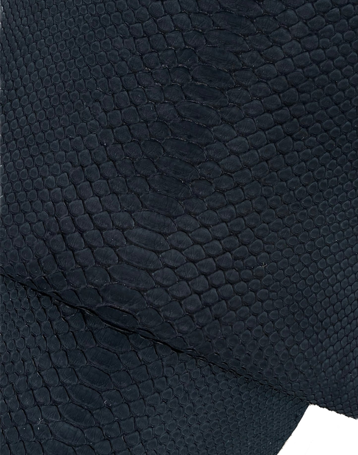 2.44 M Back Cut Black Nubuck Python