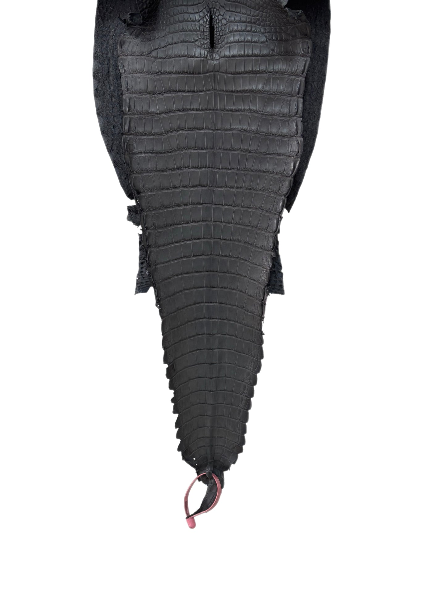 26 cm Grade 1/2 Serpentine Grey Matte Farm-Raised American Alligator Leather - Tag: FL21-0024613
