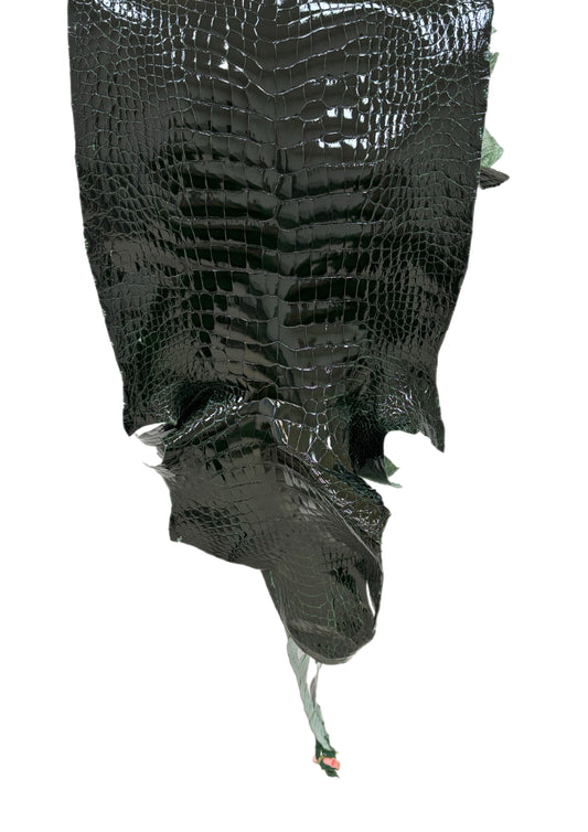 38 cm Grade 3/4 Forest Green Glazed Wild American Alligator Leather - Tag: LA24-0017378