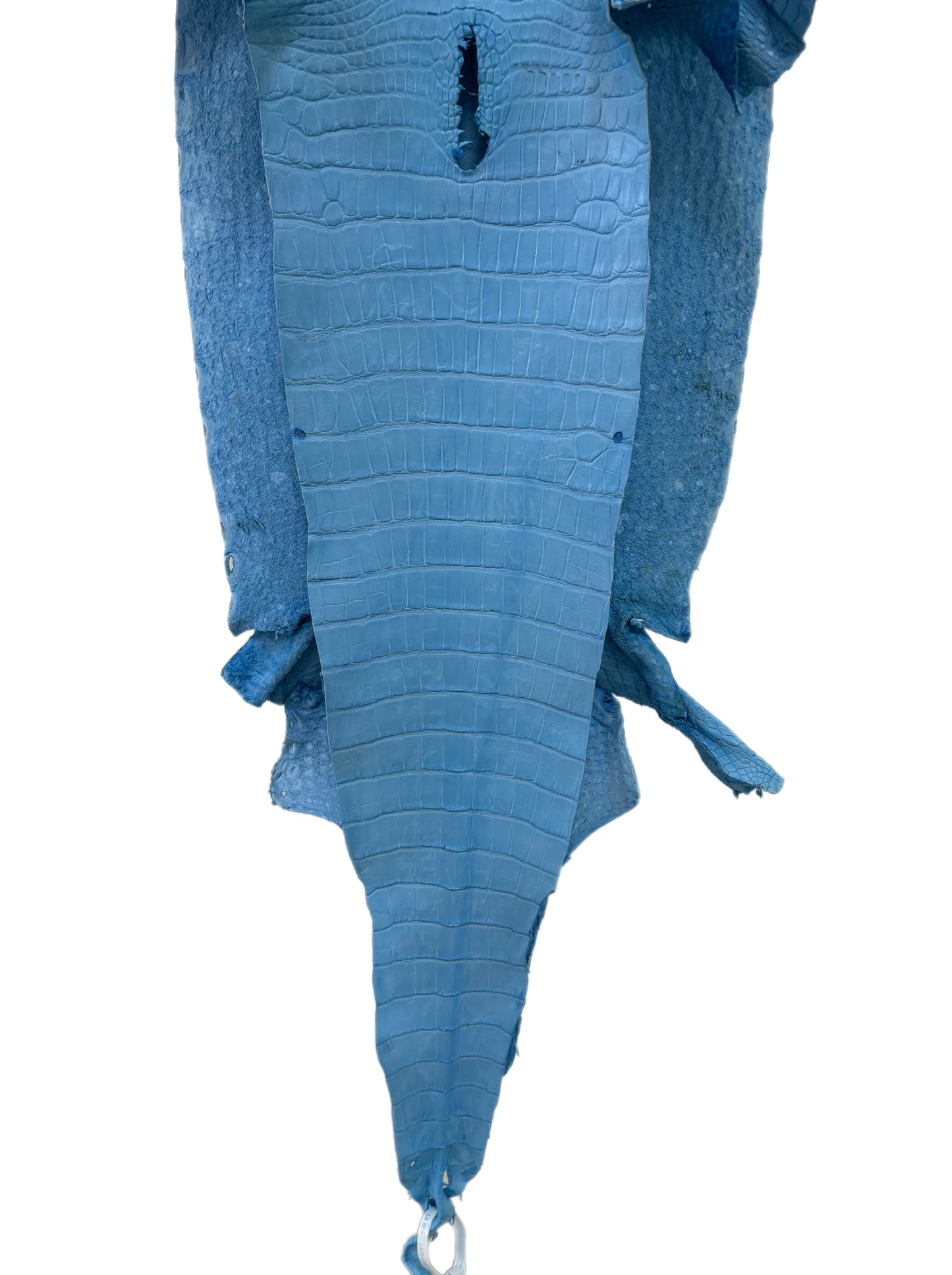 41 cm Grade 3/4 Sky Blue Matte Wild American Alligator Leather - Tag: LA23-0029515