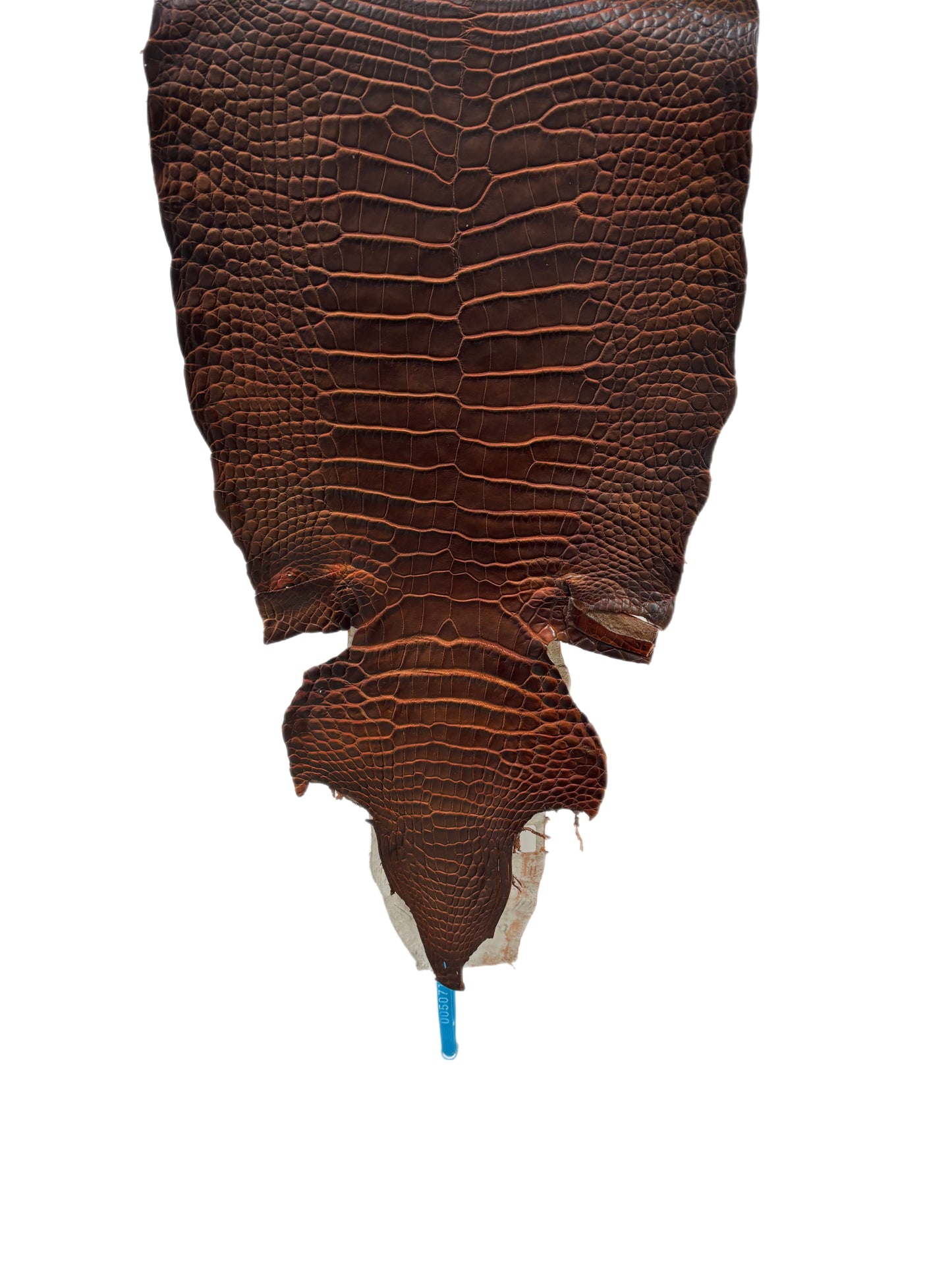 29 cm Grade 1/2 Sienna Matte Wild American Alligator Leather - Tag: ESRE-0050711