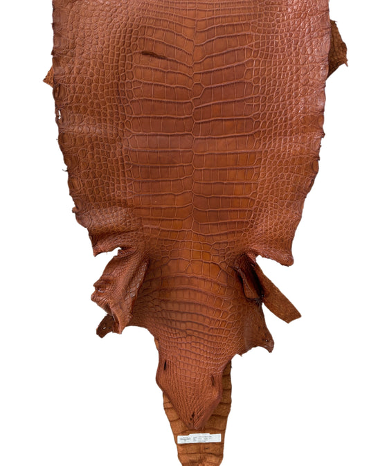 44 cm Grade 4/5 Cognac Matte Wild American Alligator Leather - Tag: LA23-0022763