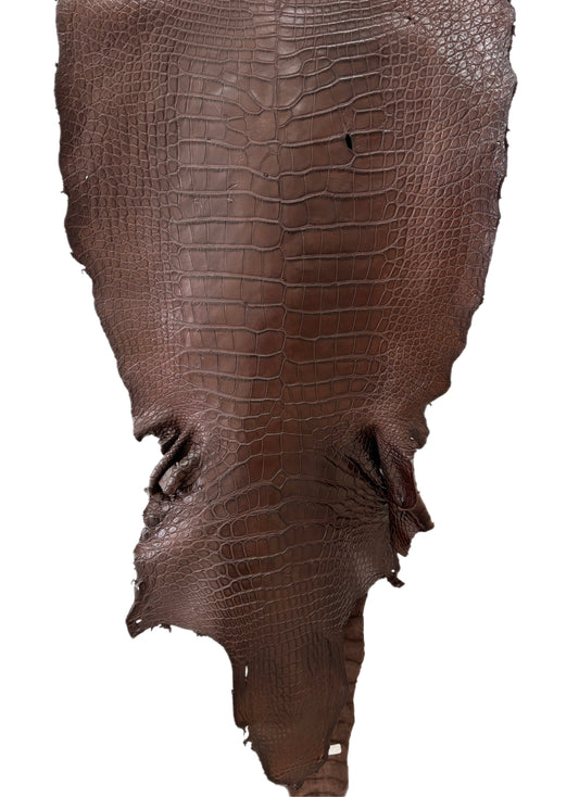 54 cm Grade 3/4 Chocolate Matte Wild American Alligator Leather - Tag: MS24-0000751