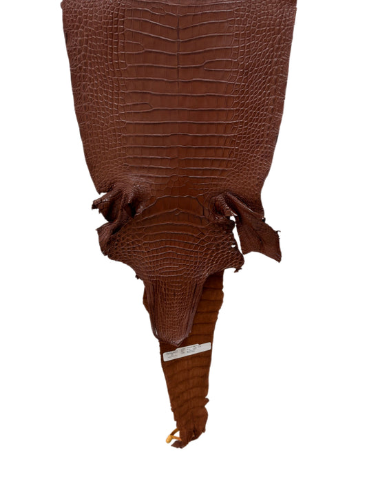 32 cm Grade 2/3 Rodeo Matte Farm-Raised American Alligator Leather - Tag: FL17-0036449