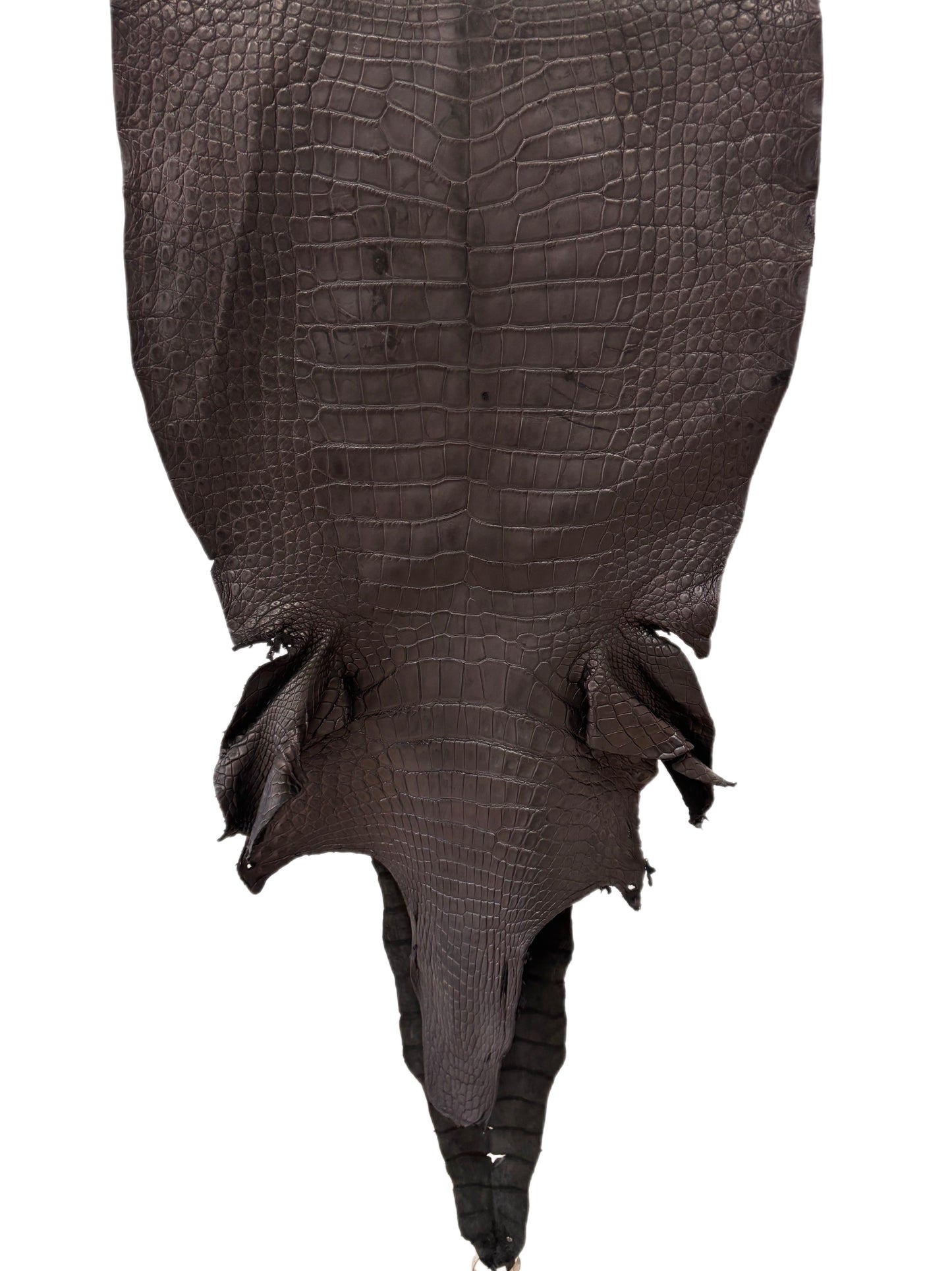 44 cm Grade 3/4 Black Matte Wild American Alligator Leather - Tag: LA23-0003704