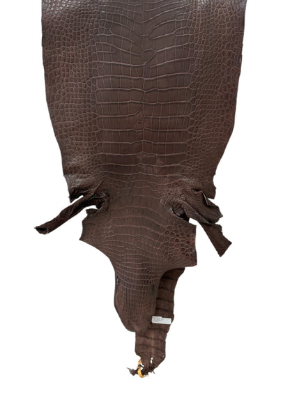 40 cm Grade 3/4 Chocolate Matte Wild American Alligator Leather - Tag: LA23-0017105