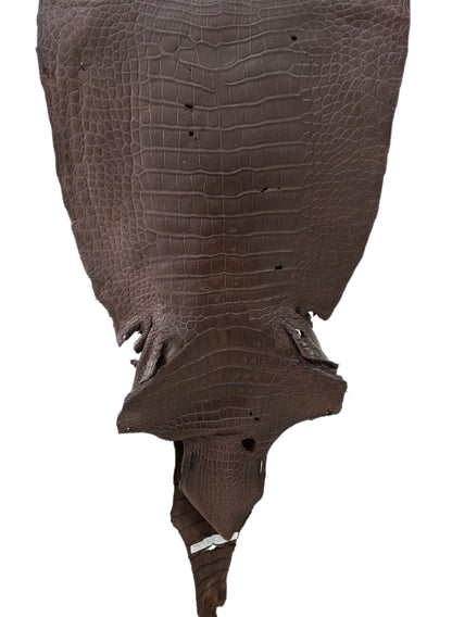 49 cm Grade 4/5 Chocolate Matte Wild American Alligator Leather - Tag: LA23-0003567