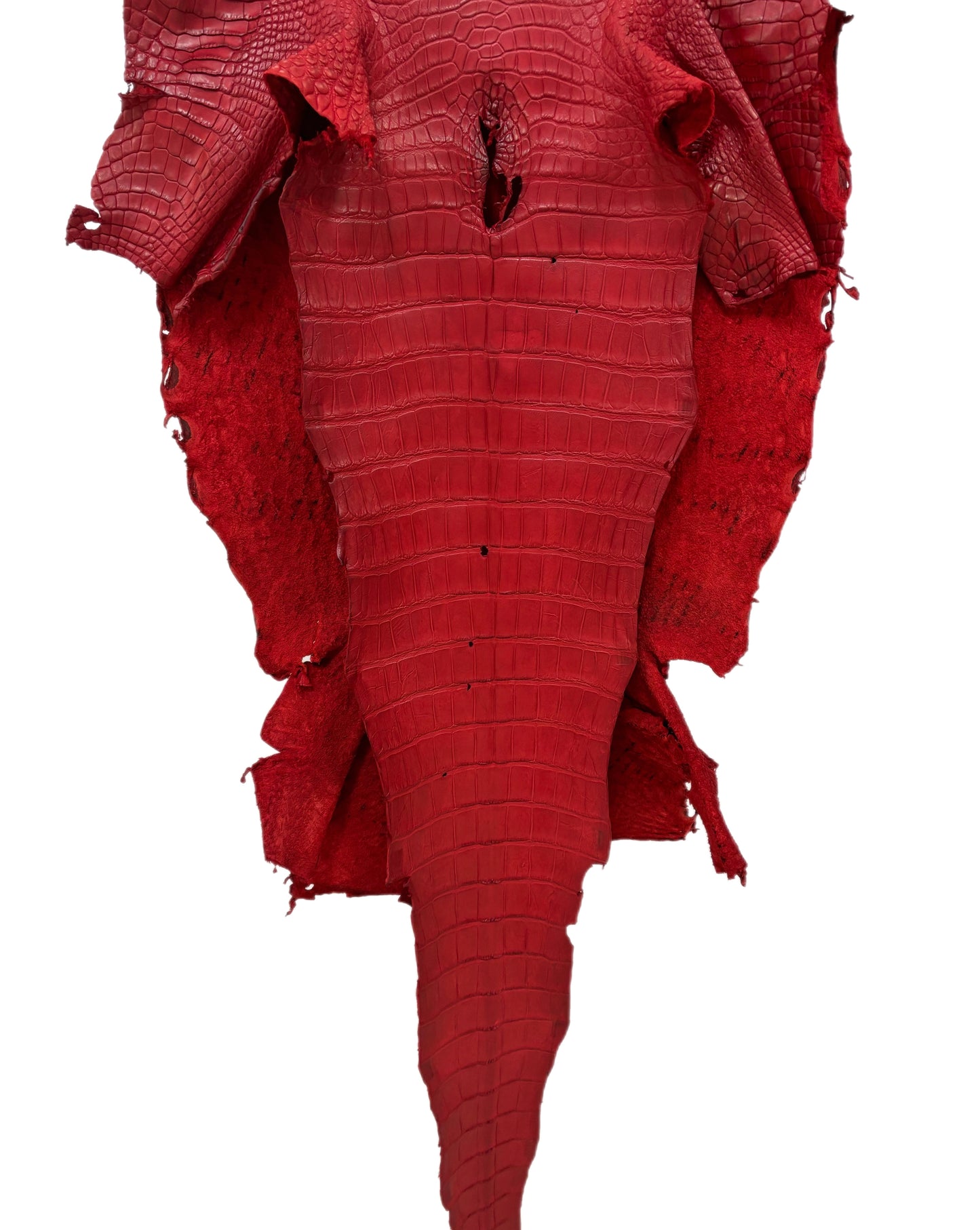 44 cm Grade 4/5 Candy Apple Red Matte Wild American Alligator Leather - Tag: LA23-0010982