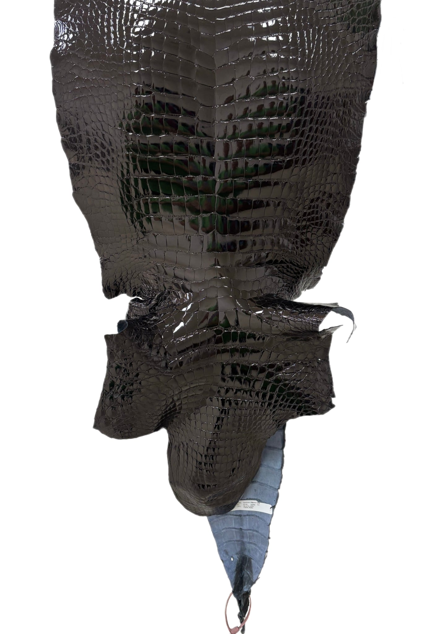 40 cm Grade 1/2 Black Glazed Wild American Alligator Leather - Tag: LA24-0022557