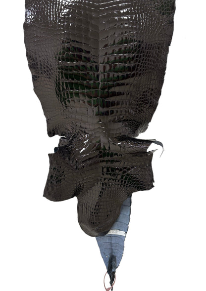 40 cm Grade 1/2 Black Glazed Wild American Alligator Leather - Tag: LA24-0022557