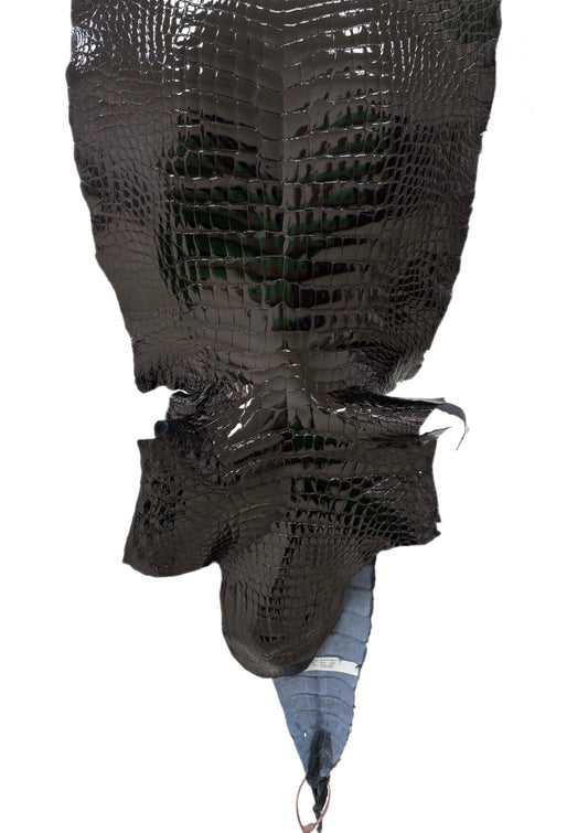 40 cm Grade 1/2 Black Glazed Wild American Alligator Leather - Tag: LA24-0022557