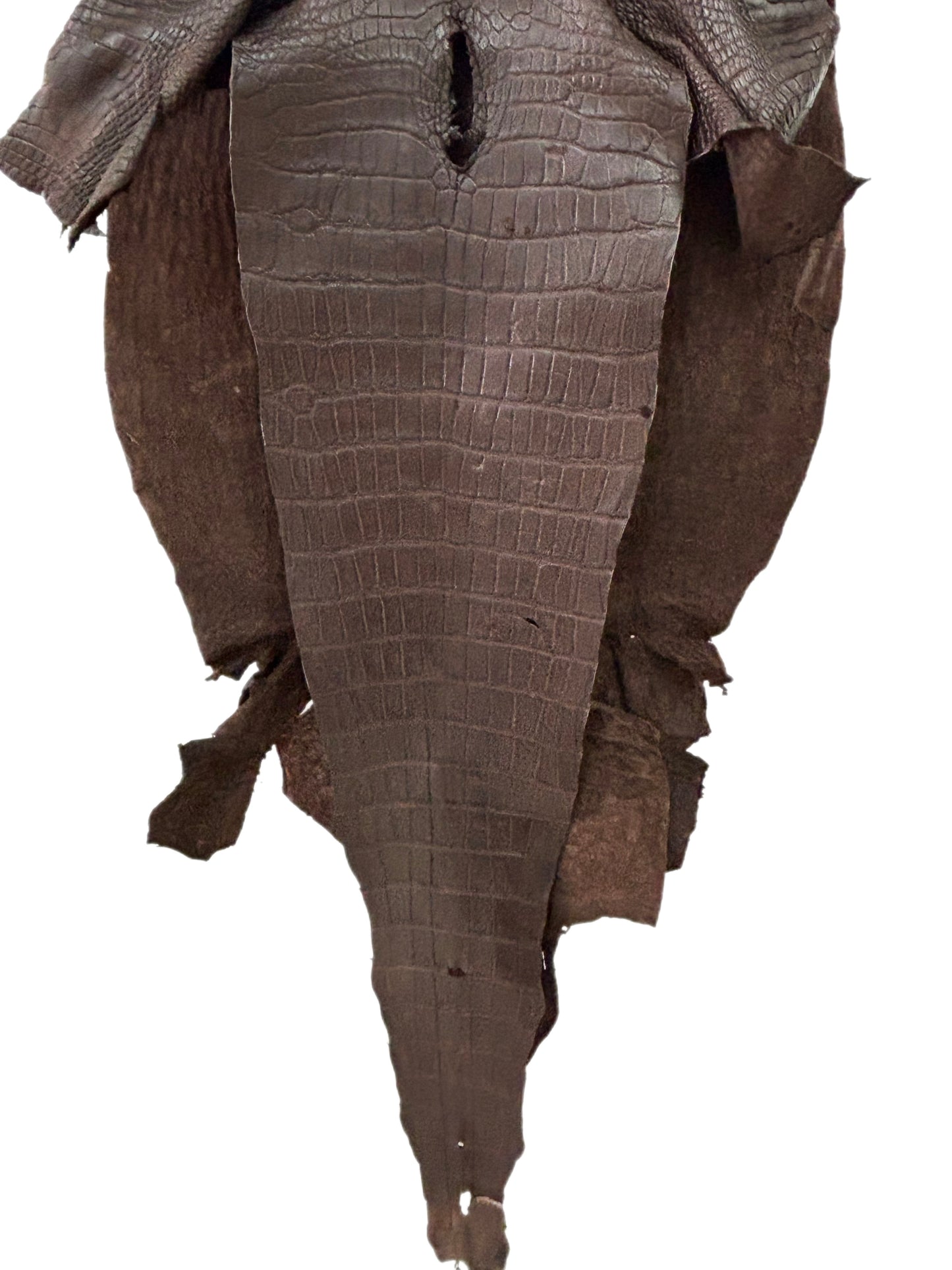 49 cm Grade 4/5 Chocolate Matte Wild American Alligator Leather - Tag: LA23-0002006