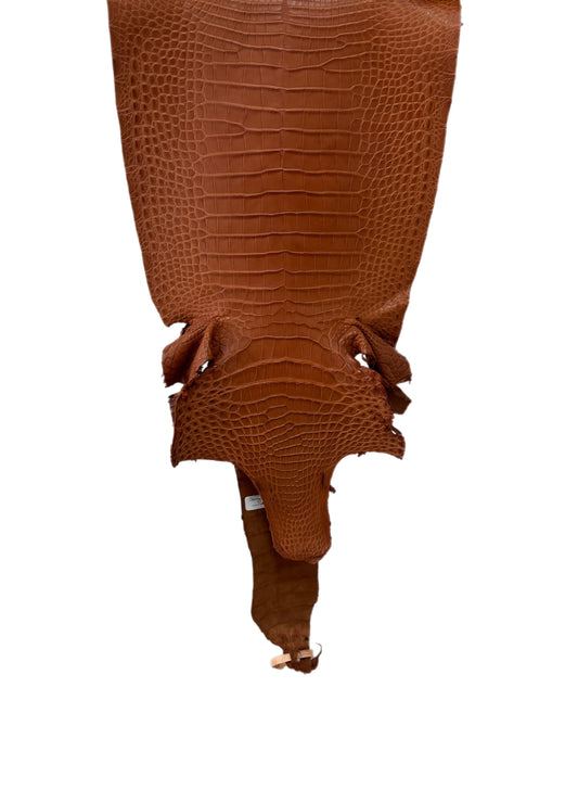 33 cm Grade 2/3 Cognac Matte Wild American Alligator Leather - Tag: FL17-0036707