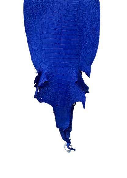 33 cm Grade 2/3 Royal Blue Matte Wild American Alligator Leather - Tag: LA23-0027106