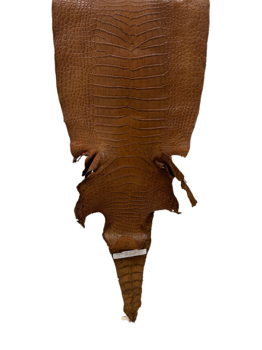 35 cm Grade 2/3 Kango Tabac Matte Wild American Alligator Leather - Tag: LA23-0051961
