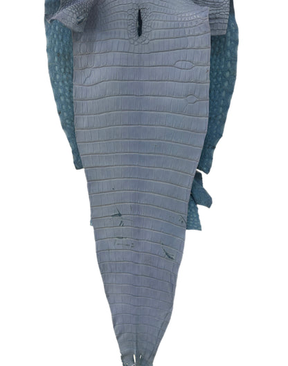 38 cm Grade 2/3 Carolina Blue Matte Farm Raised American Alligator Leather - Tag: FL17-0052787